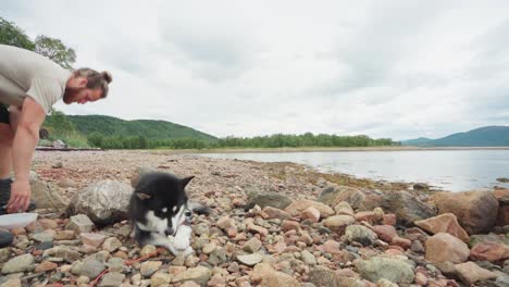 dog eating while resting on the rocky land bordering and level with the sea