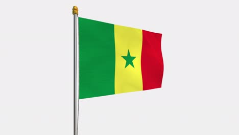 loop video of senegal flag  fluttering in the wind, slow motion video of 4k , with alpha channel