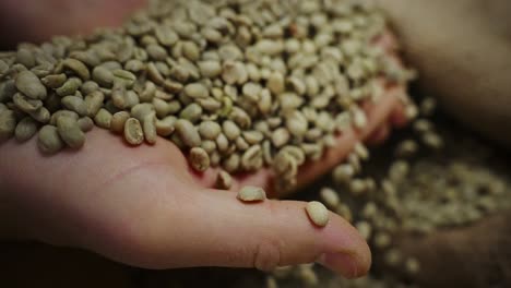 green coffee beans in hands