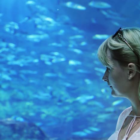 a woman admires the underwater world in an aquarium