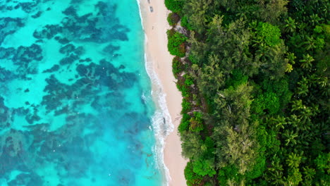 Top-down-aerial-drone-shot-of-tropical-beach