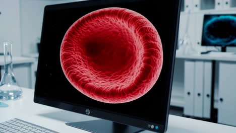red blood cell image on computer monitor in a lab