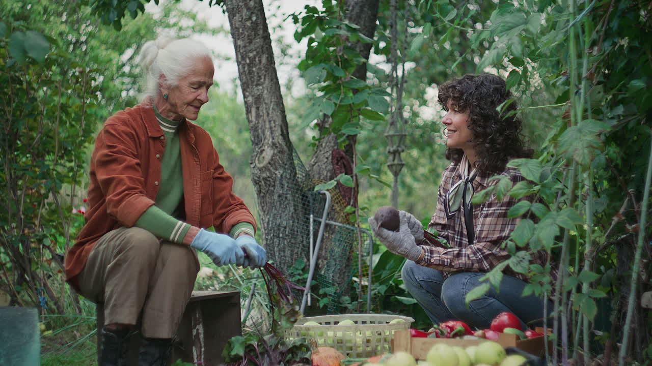 Elderly and Young Woman Talking while Gardening Together Outdoors