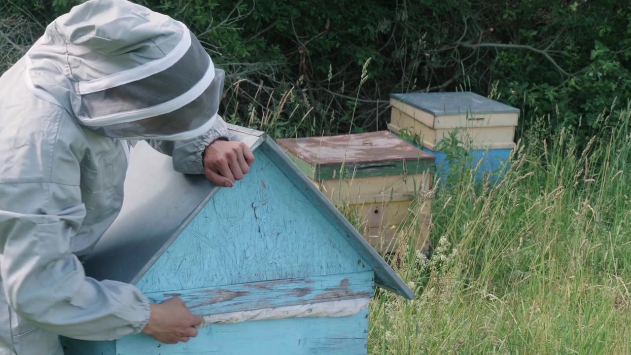 Beekeeper puts roof on a bee hive