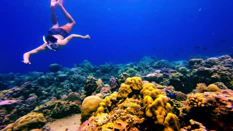 snorkeler exploring wonderful blue water sea, bali, indonesia