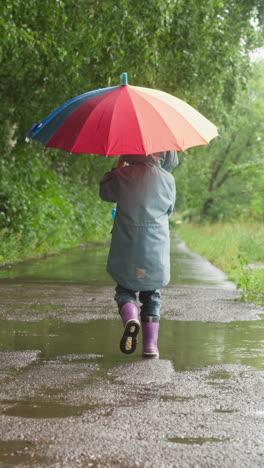 child steps in puddle holding umbrella. small boy gingerly turns back walking through puddle in rainy weather. rippling waters beneath child feet