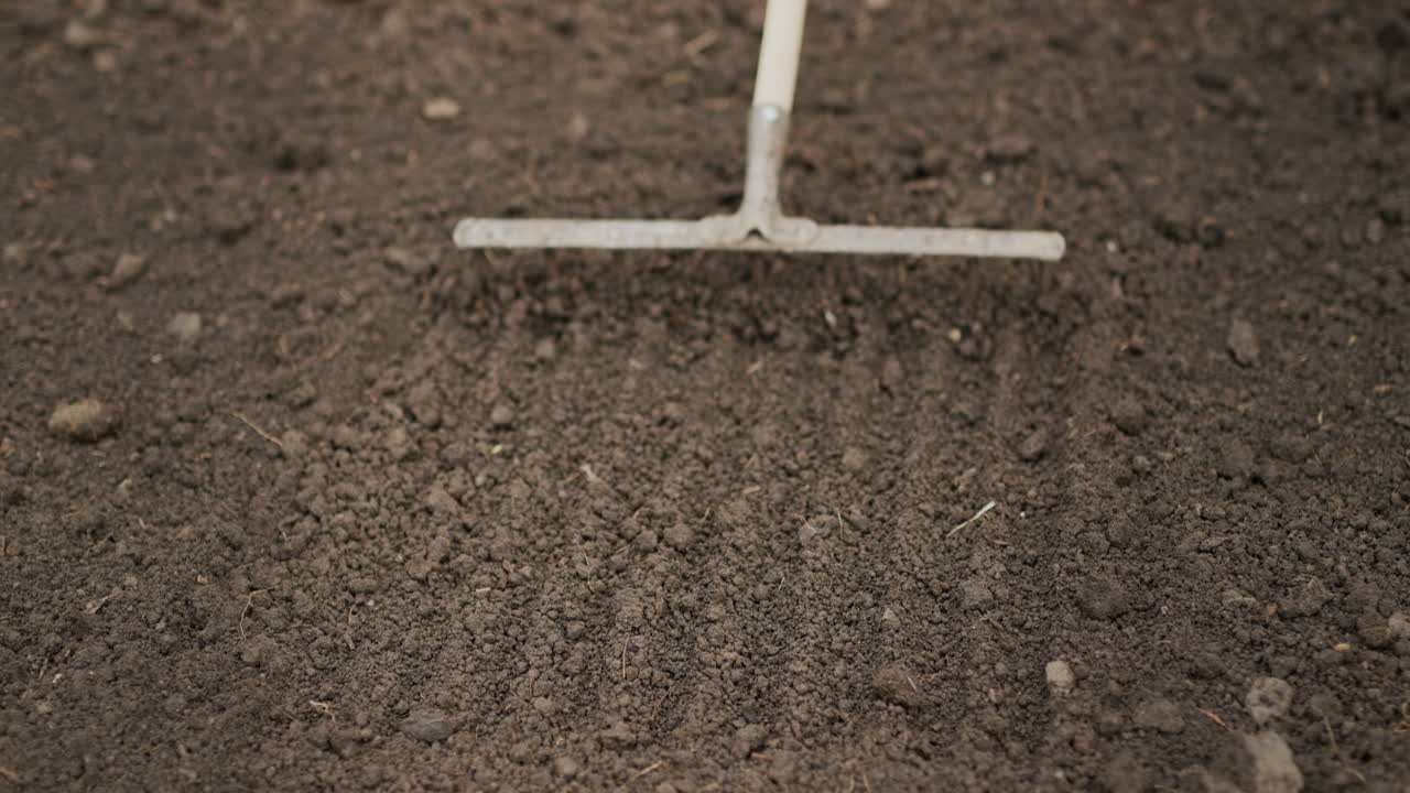 Farmer leveling the ground with a rake in the garden, preparing for planting. Top view