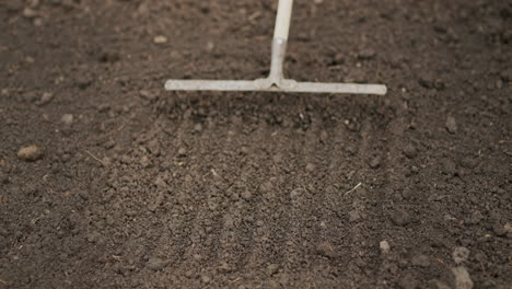 farmer leveling the ground with a rake in the garden, preparing for planting. top view