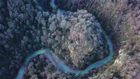 aerial view of a winding river through a forest