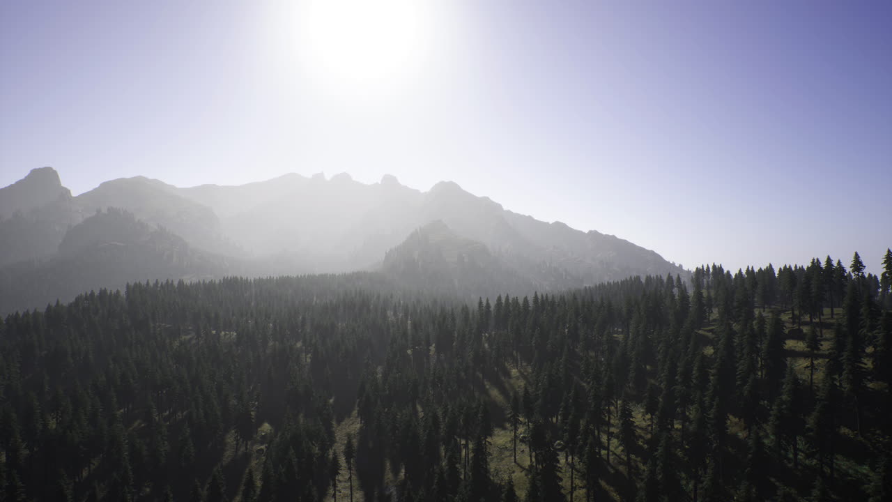 Majestic mountains tower over lush forest under bright sunlight