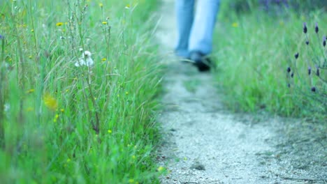 Eine-Person,-Die-Draußen-In-Der-Natur-Spaziert