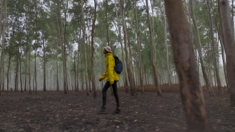 Caminata-Turística-Por-Los-Bosques-De-La-Región-De-Terai,-En-El-Este-De-Nepal,-Disparo-De-Un-Dron-Explorando-La-Belleza-Dentro-Del-Denso-Bosque