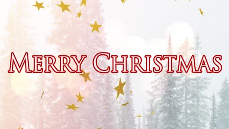 Animation-of-christmas-greetings-and-glow-stars-falling-over-forest