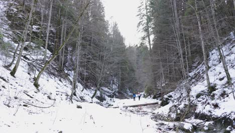 Couple-Walking-In-Snowy-Path-In-A-Forest-In-Winter---wide-shot