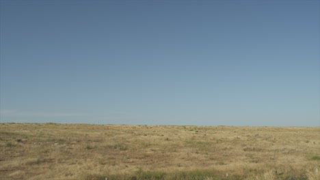 dry desert rocky grassland landscape. panning across the desolate landscape