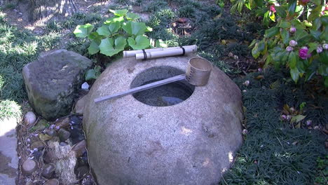 un bassin d'eau de pluie dans un jardin de thé japonais