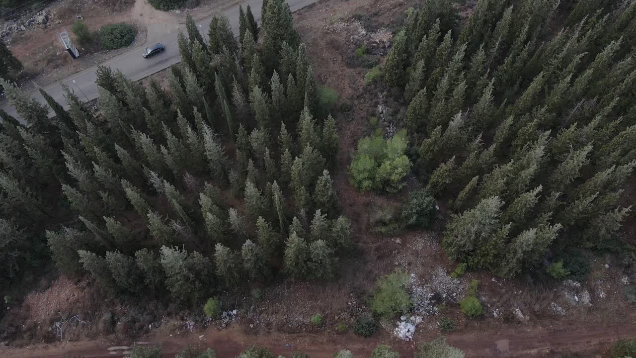 vista superior del bosque de otoño en israel, katzir, toma aérea del bosque de otoño