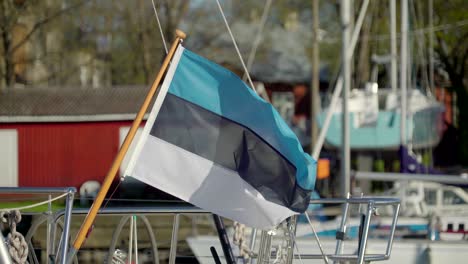 a small estonia flag waving so fast of the wind