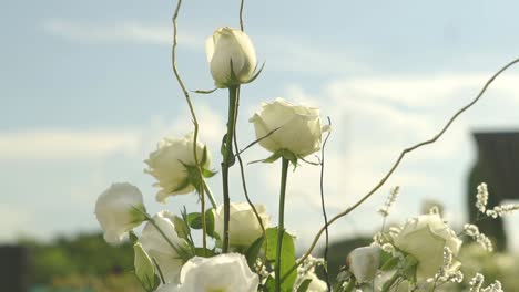 Un-Ramo-De-Rosas-Blancas-Con-Un-Cielo-Azul-Claro-De-Fondo