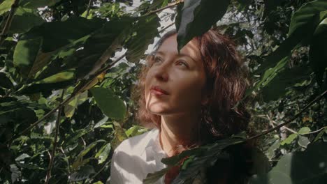 woman in a coffee plantation