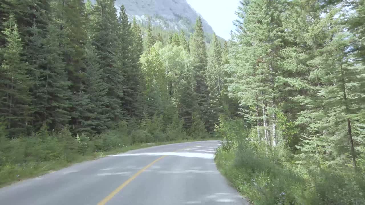 밴프의 맑고 푸른 하늘과 로키산맥이 있는 소나무 숲 사이를 통과하는 현지 도로를 볼 수 있는 움직이는 차 안에서의 전망