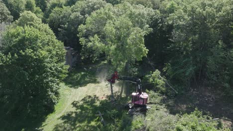 Rotating-view-of-Lumberjack-carrying-cut-trees-and-stacking-them-during-afternoon