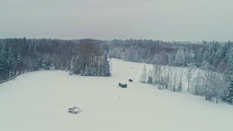 Cold-winter-and-snow-conditions-in-European-forest