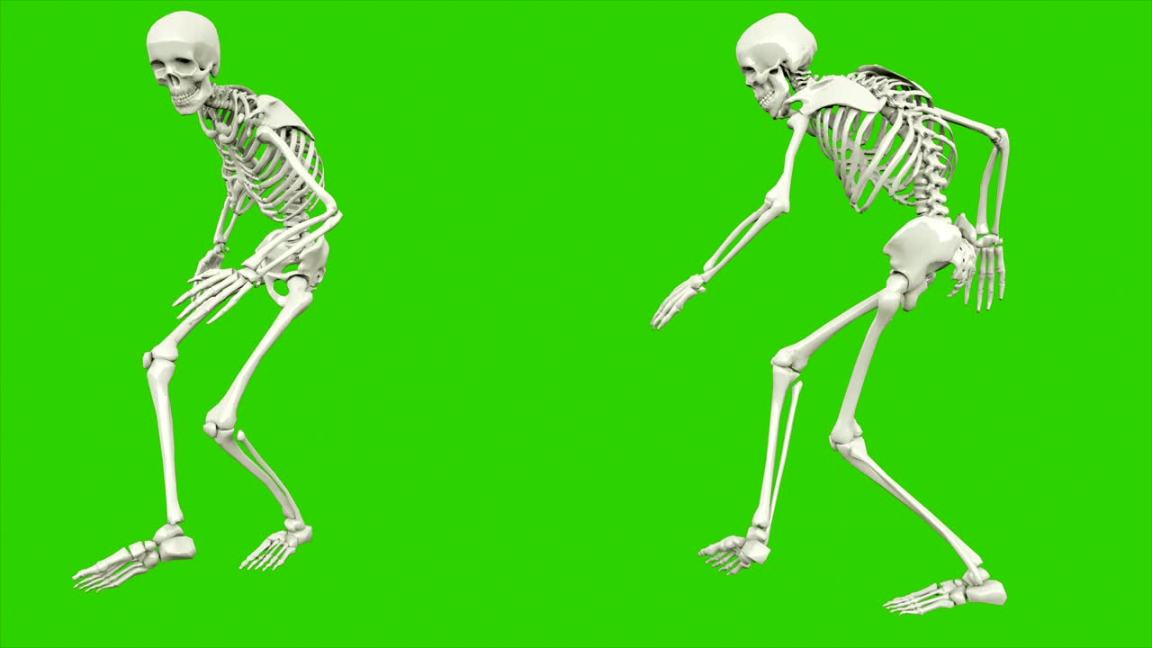 cammino dello scheletro. animazione a loop senza soluzione di continuità sullo schermo verde.