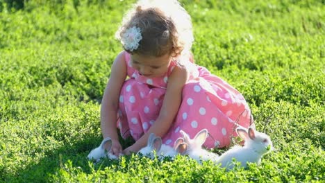 little girl playing with bunnies in a sunny field