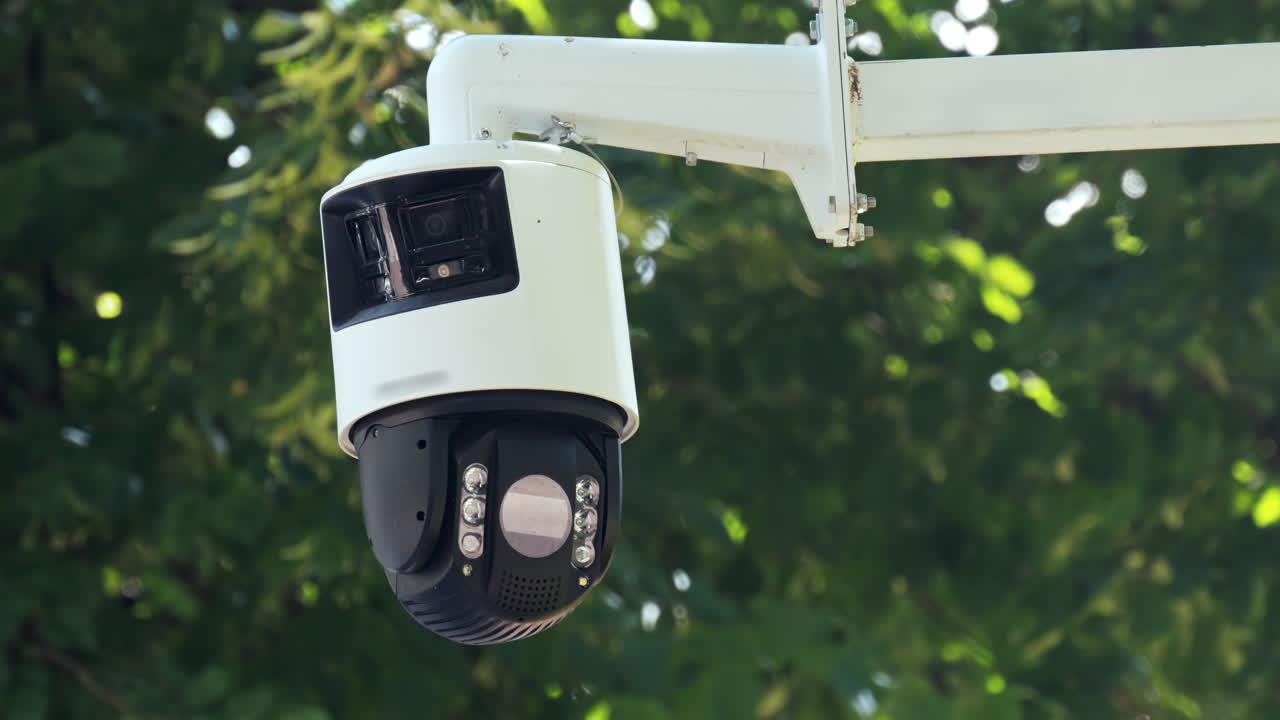 View of the trees and the sky in yellow lighting