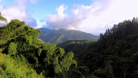 the blue mountains in jamaica, caribbean, middle america