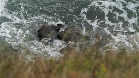 Turbulentes-Se-wasser-Mit-Felsen-In-Der-Mitte-Der-Aufnahme-Und-Gras-Im-Vordergrund