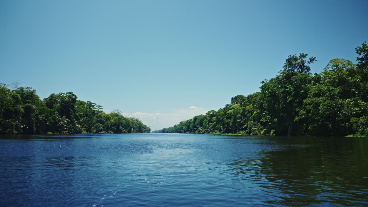 Serene River in the Lush Amazon Rainforest