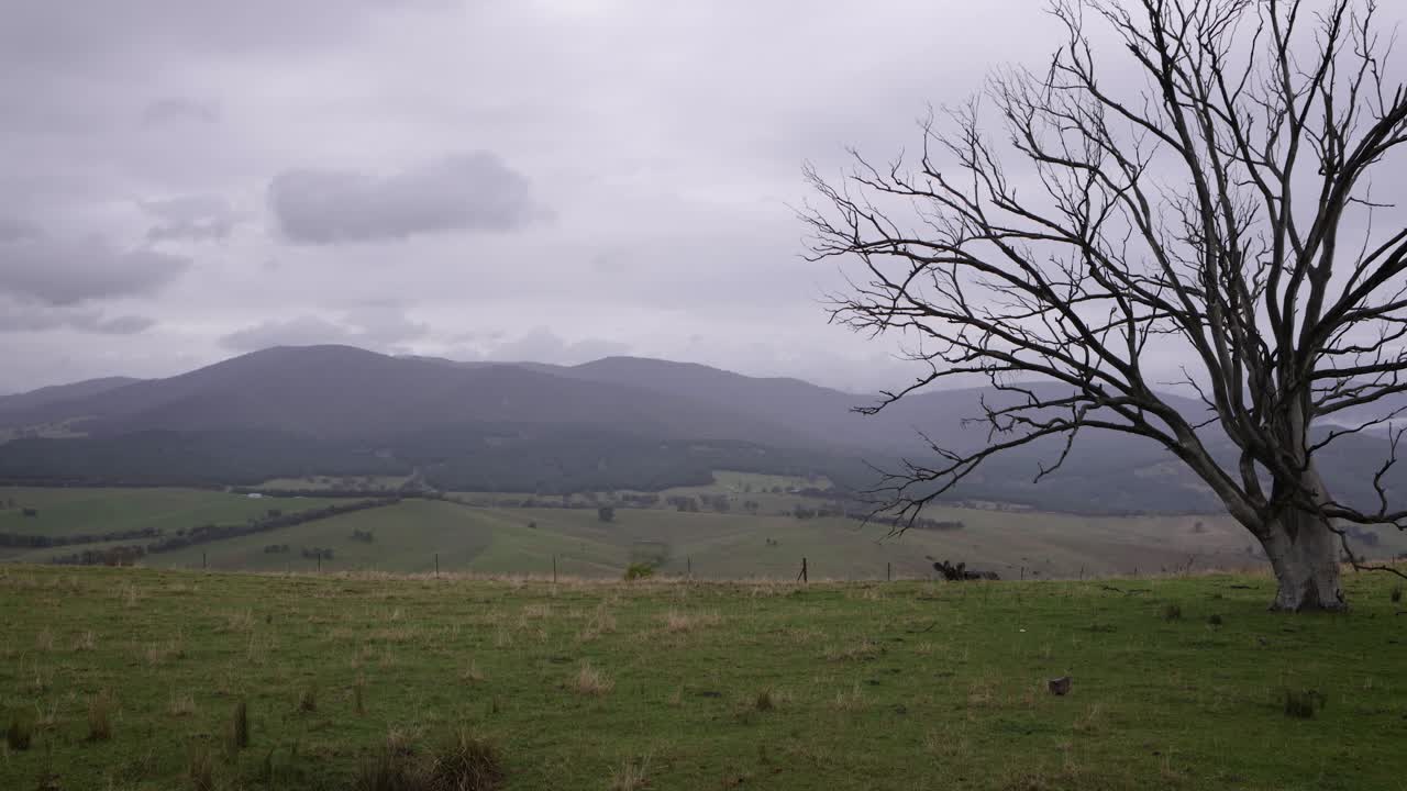 구름이 많은 날 에 남쪽 구름 기념관 근처 에서 뉴 사우스 웨일스 지역 을 바라보는 풍경