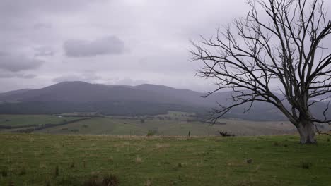 vistas regionales de nueva gales del sur cerca del mirador conmemorativo de la nube del sur en un día nublado