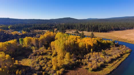 Wide-aerial-reveal-of-a-pacific-northwest-winding-river-with-colorful-trees-on-a-clear,-sunny-day