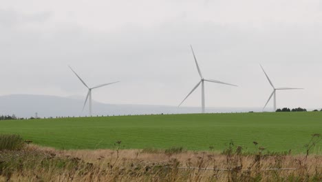 wind turbines spinning in a green field