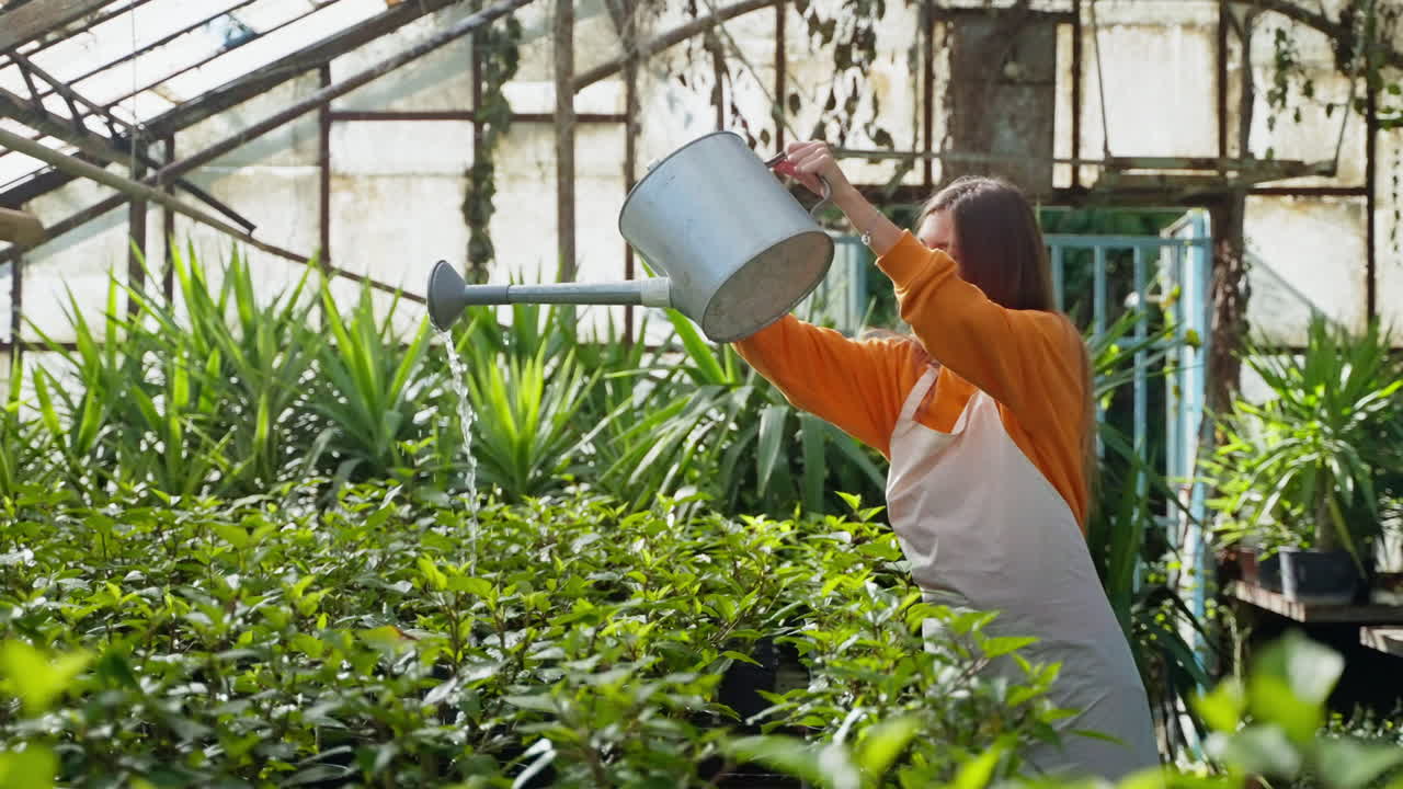 mujer regando plantas en un invernadero