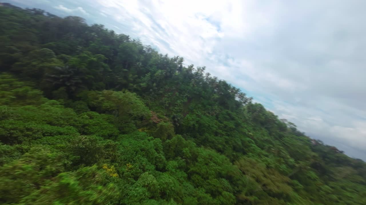 A Scenic Drone View of a Green Path through Tropical Landscape with People