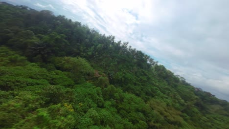 a scenic drone view of a green path through tropical landscape with people