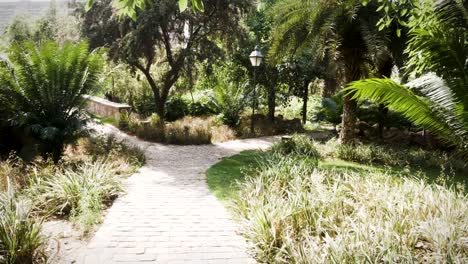 Ein-Wunderschöner-Spaziergang-Unter-Der-Waldflora-Der-Lodhi-Gärten-In-Neu-Delhi,-Indien