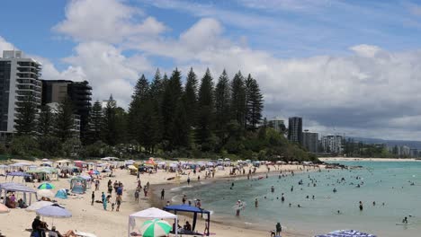 crowded beach scene with swimmers and city skyline