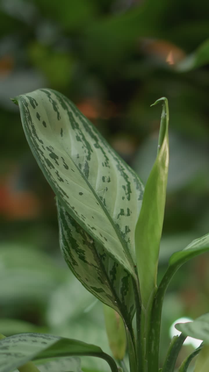 lámpara al aire libre ilumina plantas verdes exuberantes en un entorno de jardín tranquilo, centrándose en detalles frondosos y iluminación ambiental suave, evocando la calma y la belleza natural