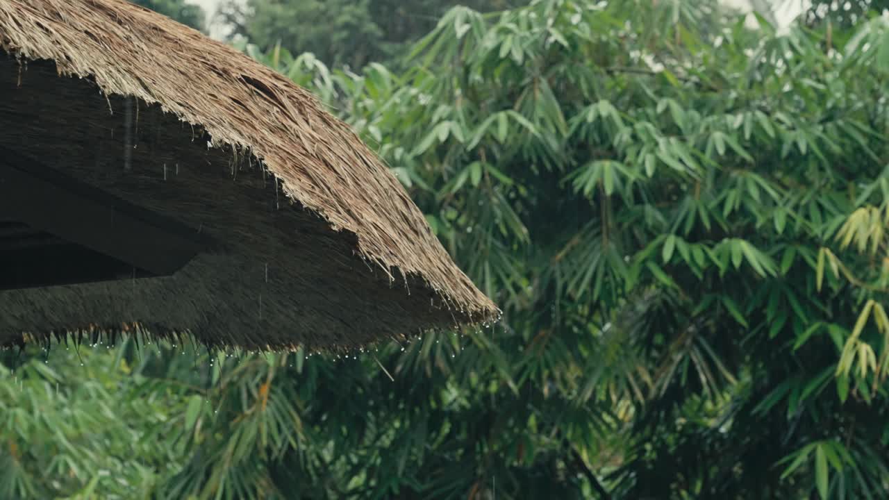 Gocce di pioggia che cadono da un tetto di paglia con lussureggiante vegetazione tropicale sullo sfondo