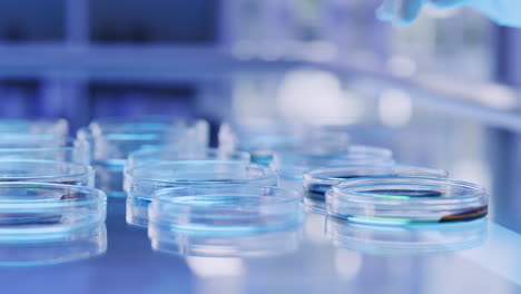 científico trabajando con placas de petri en un laboratorio