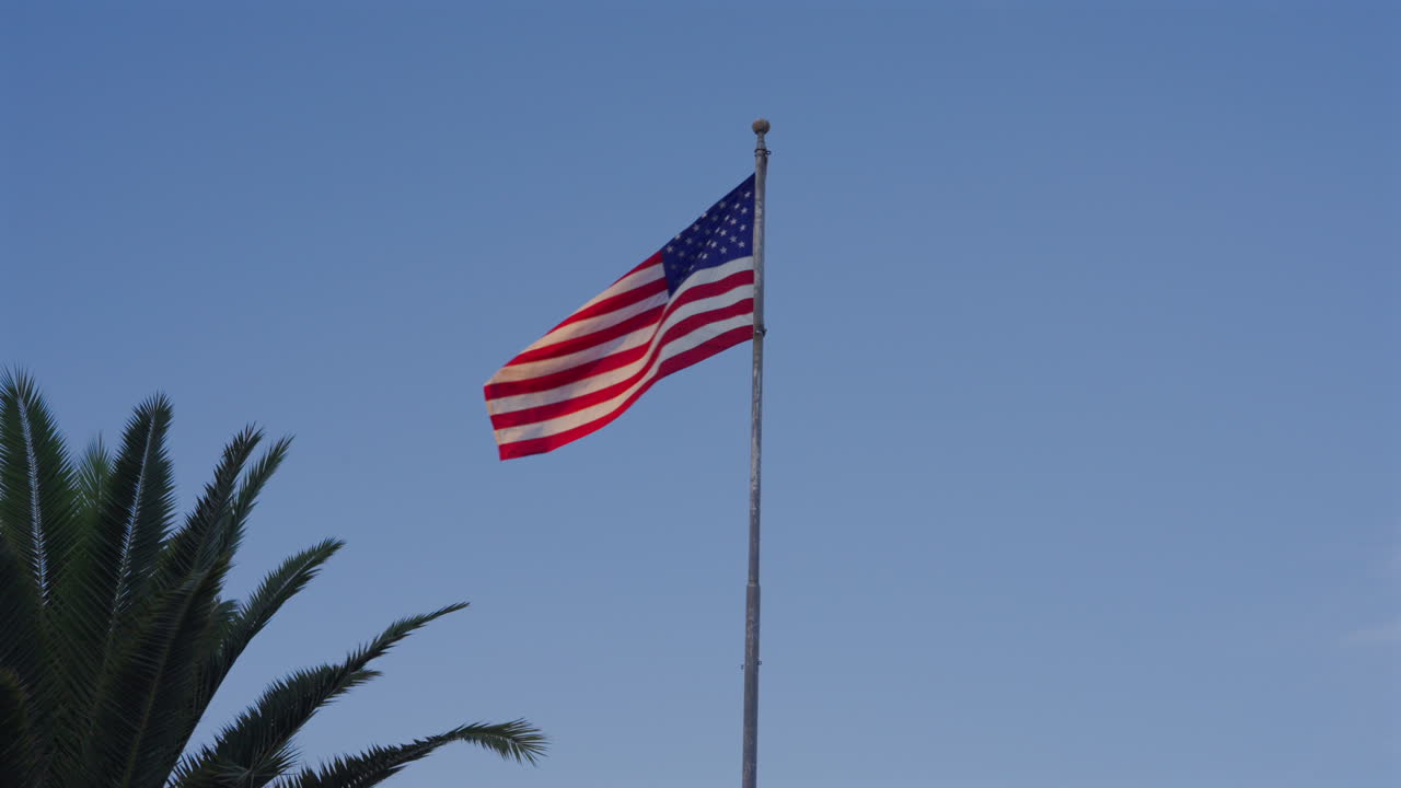 Bandiera americana che sventola su un alto palo sotto palme tropicali con cielo azzurro terso in Florida, USA. Scatto dal basso.