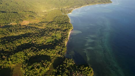 Panoramic view of lush tropical island coastline with scenic reefs and jungles at Catanduanes, Bicol, Philippines - aerial drone shot