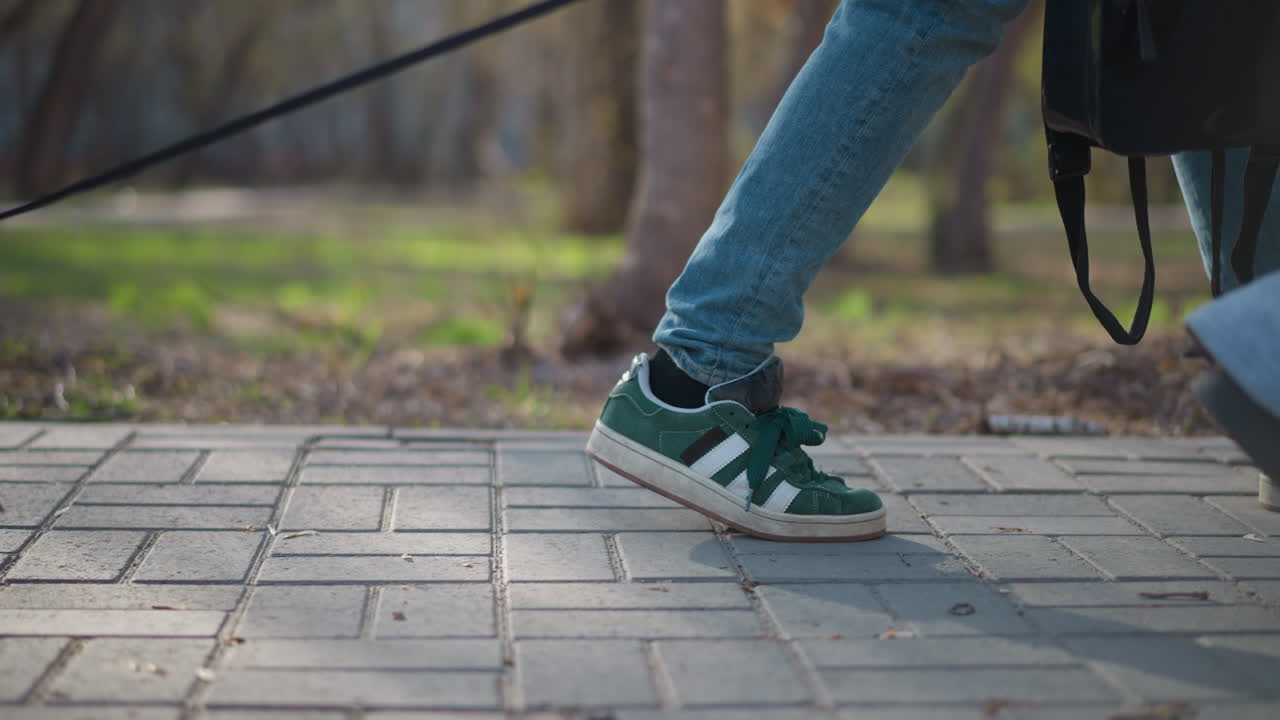 산책하는 개, 산책로에서 개와 함께 목줄을 잡고 있는 남자, 새벽에 타일이 깔린 길을 따라 작은 개를 산책시키는 사람, 해돋이 때 패턴이 있는 땅에서 목줄을 잡고 작은 개를 이끄는 사람