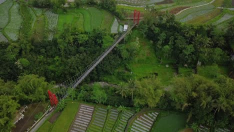 Drohnenaufnahme-Einer-Hängebrücke-Aus-Metall,-Die-über-Einem-Tal-Mit-Fluss-Am-Boden-Gebaut-Wurde-Und-Von-Bäumen-Und-Gemüseplantagen-Umgeben-Ist