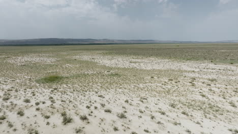 flat arid sandy steppe plain with grass turfs in vashlovani, georgia